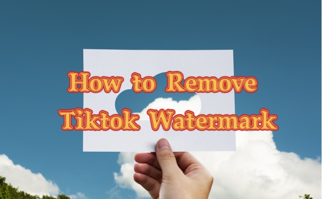 How to Remove TikTok Water Mark