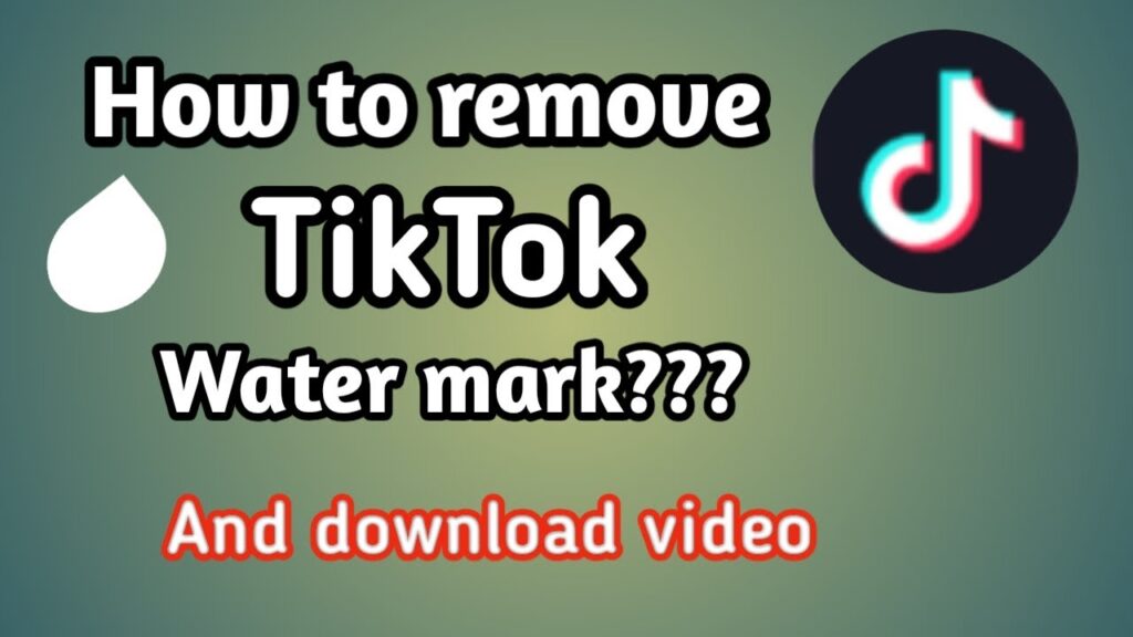 How to remove tiktok watermark A wise review
